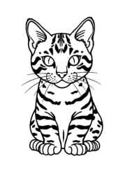 Cats Coloring Book 803AB216 (12 Coloring Pages)