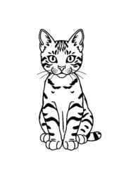 Cats Coloring Book F9B03D55 (12 Coloring Pages)