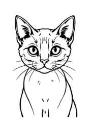Cats Coloring Book F9B03D55 (12 Coloring Pages)
