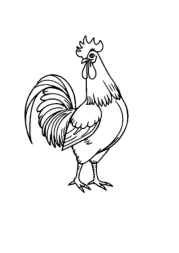 Farm Animals Coloring Book C2B866D3 (12 Coloring Pages)