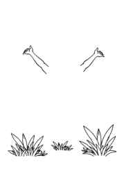 Fitness Coloring Book DD5EE959 (12 Coloring Pages)