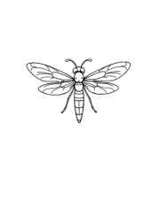 Insects Coloring Book 28BF34B9 (12 Coloring Pages)