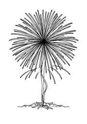 Lunar New Year Coloring Book EAAEB9D7 (12 Coloring Pages)