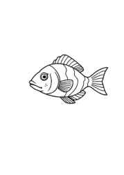 Meats Coloring Book E7BDC394 (12 Coloring Pages)