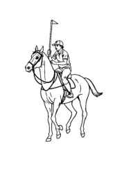 Polo Coloring Book 63C2DAF6 (12 Coloring Pages)