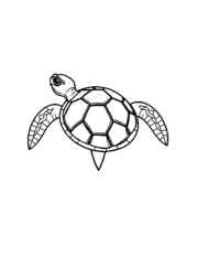 Reptiles Coloring Book 47143349 (12 Coloring Pages)