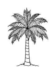 Trees Coloring Book 93C20166 (12 Coloring Pages)