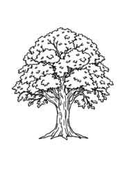 Trees Coloring Book CB6CEAEE (12 Coloring Pages)