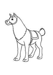 Winter Coloring Book 39D37DC2 (12 Coloring Pages)