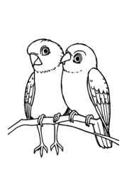 ATVs and Quads Coloring Book 1190F177 (12 Coloring Pages)