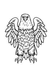 American Culture Coloring Book 0B6131EE (12 Coloring Pages)