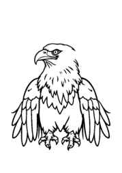 American Culture Coloring Book 04F1EA27 (12 Coloring Pages)