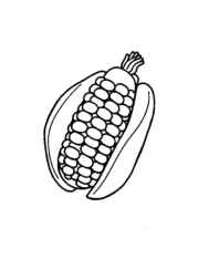 American Food Coloring Book 7137D6A8 (12 Coloring Pages)