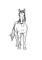 Arabian Culture Coloring Book B75E54E4 (12 Coloring Pages)