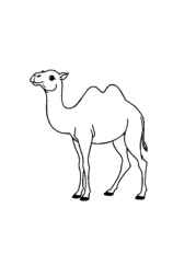 Arabian Culture Coloring Book B75E54E4 (12 Coloring Pages)