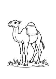 Arabian Culture Coloring Book DDA2BC6B (12 Coloring Pages)