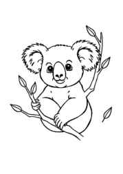 Australian Animals Coloring Book FCF56038 (12 Coloring Pages)