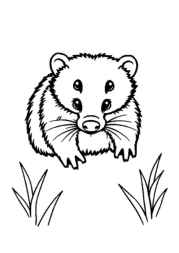 Australian Animals Coloring Book FCF56038 (12 Coloring Pages)