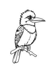 Australian Animals Coloring Book FCF56038 (12 Coloring Pages)