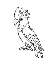 Australian Animals Coloring Book FCF56038 (12 Coloring Pages)