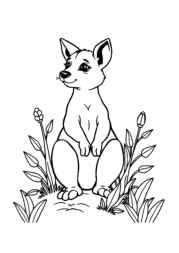 Australian Animals Coloring Book FCF56038 (12 Coloring Pages)
