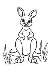 Australian Animals Coloring Book FCF56038 (12 Coloring Pages)
