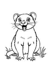 Australian Animals Coloring Book FCF56038 (12 Coloring Pages)