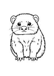 Australian Animals Coloring Book 3DC3288B (12 Coloring Pages)