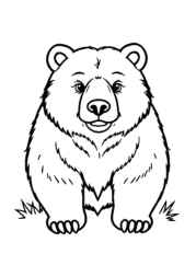 Bears Coloring Book 76D34705 (12 Coloring Pages)