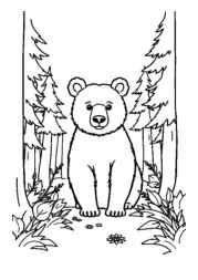 Bears Coloring Book 76D34705 (12 Coloring Pages)