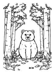 Bears Coloring Book D826DBEE (12 Coloring Pages)