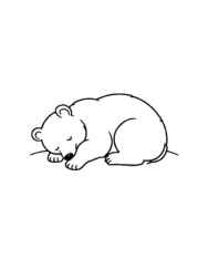 Bears Coloring Book D826DBEE (12 Coloring Pages)