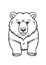 Bears Coloring Book D826DBEE (12 Coloring Pages)