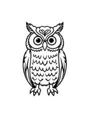 Birds Coloring Book 19E3A451 (12 Coloring Pages)