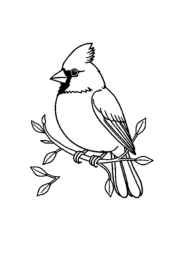 Birds Coloring Book 19E3A451 (12 Coloring Pages)