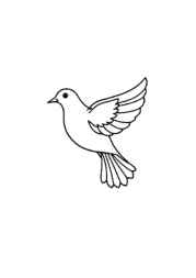 Birds Coloring Book 19E3A451 (12 Coloring Pages)