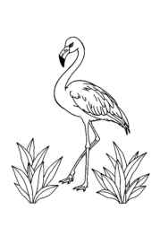 Birds Coloring Book 19E3A451 (12 Coloring Pages)