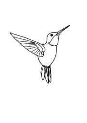 Birds Coloring Book 19E3A451 (12 Coloring Pages)
