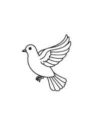 Birds Coloring Book 3A79DE2B (12 Coloring Pages)