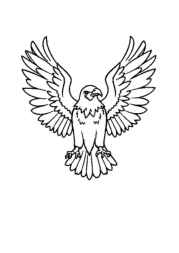 Birds Coloring Book 3A79DE2B (12 Coloring Pages)