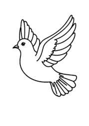 Birds Coloring Book 561CA456 (12 Coloring Pages)