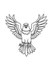 Birds Coloring Book 561CA456 (12 Coloring Pages)