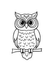 Birds Coloring Book 561CA456 (12 Coloring Pages)