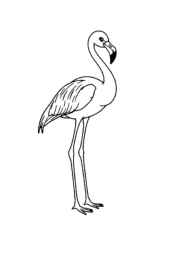 Birds Coloring Book 7DCDBC64 (12 Coloring Pages)