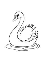 Birds Coloring Book 7DCDBC64 (12 Coloring Pages)