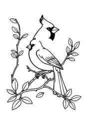 Birds Coloring Book 7DCDBC64 (12 Coloring Pages)