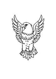 Birds Coloring Book 7DCDBC64 (12 Coloring Pages)