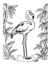 Birds Coloring Book 7DCDBC64 (12 Coloring Pages)
