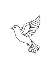 Birds Coloring Book 7DCDBC64 (12 Coloring Pages)