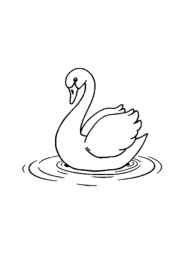 Birds Coloring Book 7DCDBC64 (12 Coloring Pages)